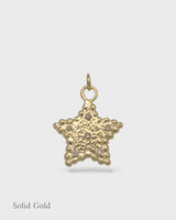 Hespe Star Charm - Solid Gold & Diamonds