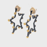 Stella Star Hoops - Black & Gold Vermeil