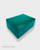 Collector's Jewellery  Box