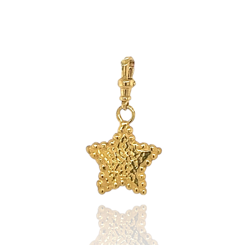 Hespe Star Charm - Fully Gold Plated