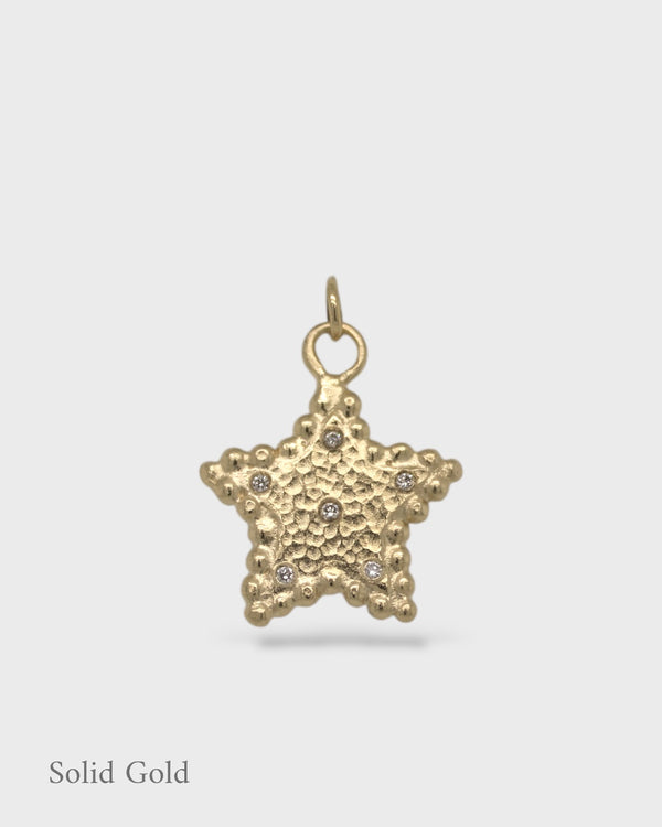 Hespe Star Charm - Solid Gold & Diamonds