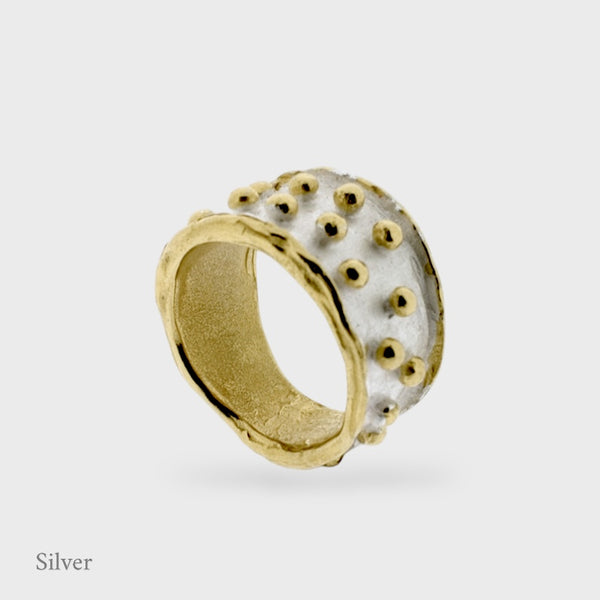 Zarek Ring - Gold Vermeil & Silver