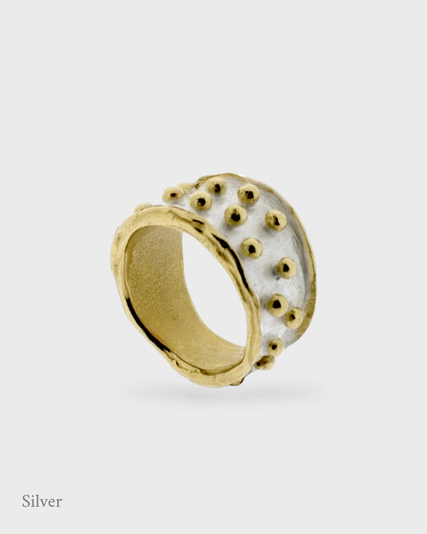 Zarek Ring - Gold Vermeil & Silver