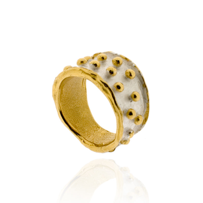 Zarek Ring - Gold & Silver